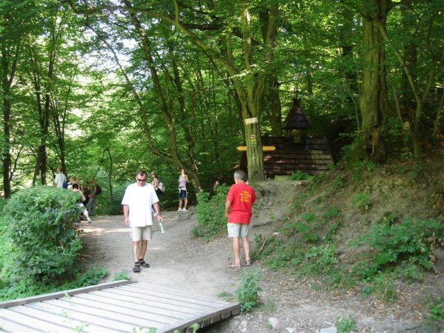 DSC05828 (Medium)